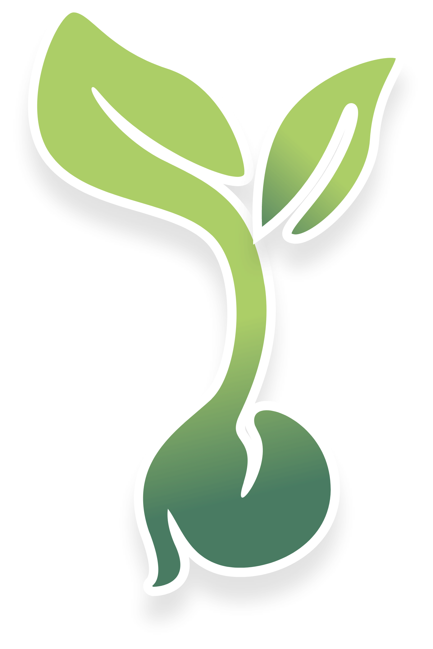 burkholder seeds icon