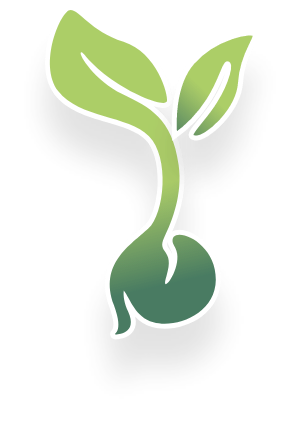 burkholder seeds logo