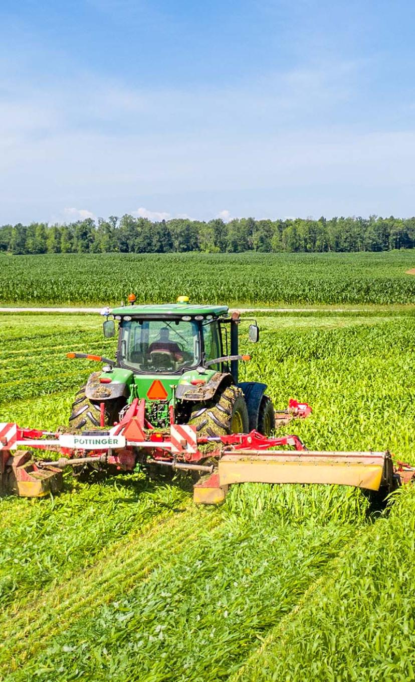 tractor mowing filed