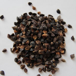 VNS Buckwheat