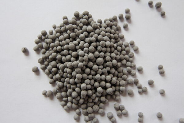 Hairy Vetch VNS