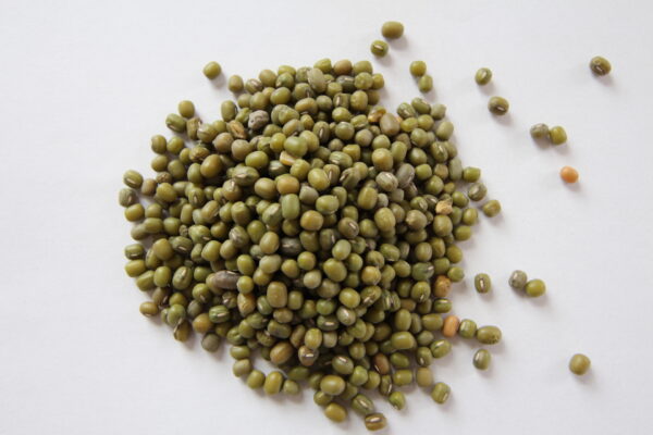 Faba Beans
