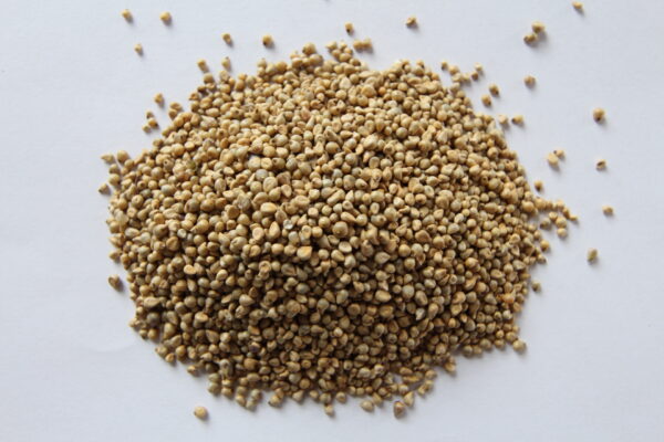 KF Prime 360 Millet UT