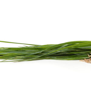 Haymaster