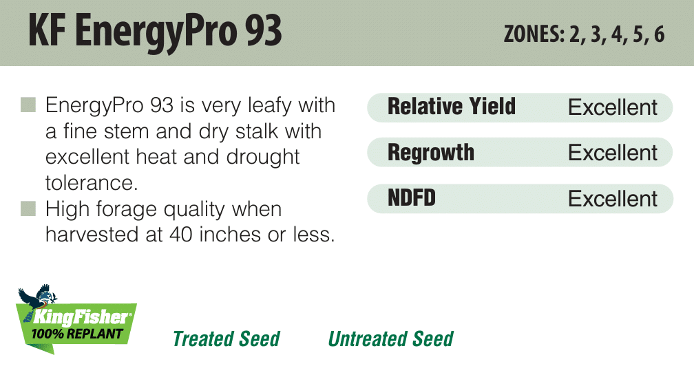 KF EnergyPro 93 - Image 2