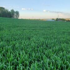 Trit at Sunset - Brendon Blank - Wisconsin