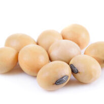 soy  beans  on  the  white  ground
